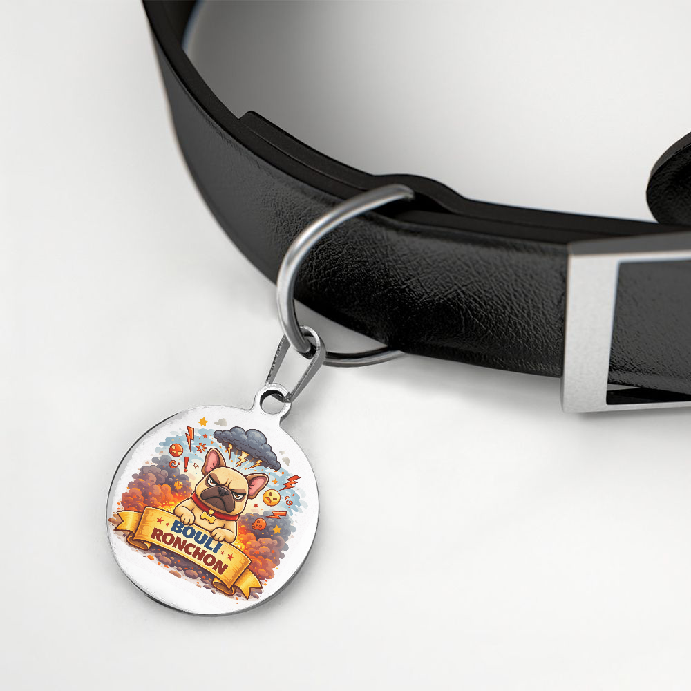 Médaille bouli ronchon