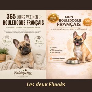 Lot des 2 Ebooks