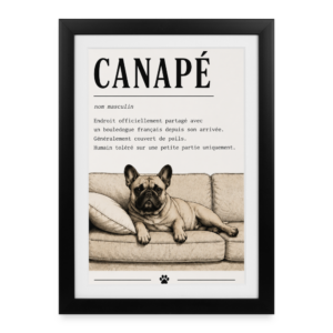 Affiche définition — CANAPÉ