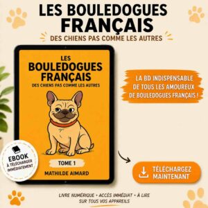 Bande dessinée B4E - Tome 1