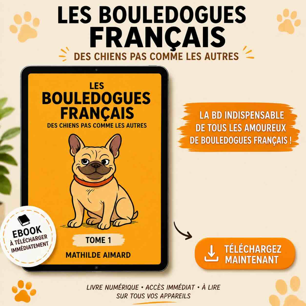 Bande dessinée B4E - Tome 1