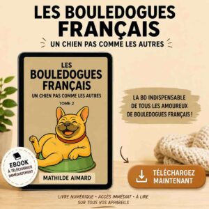 Bande dessinée B4E - Tome 2