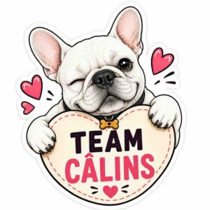 Sticker - Team Câlins
