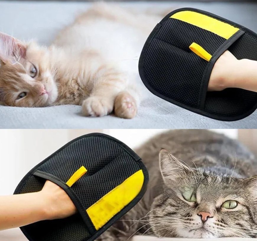 Gant attrape-poils pour chien – Canapé, vêtements et voiture
