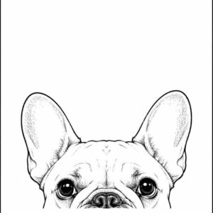Affiche Bouledogue Français Curieux – Illustration noir et blanc – A4