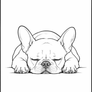 Affiche Bouledogue Français Endormi – Illustration noir et blanc – A4
