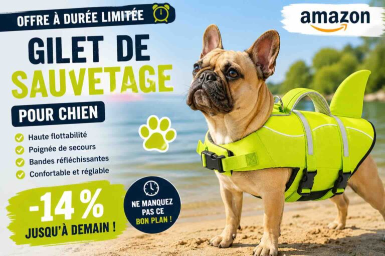 🔥 Bon plan Amazon : ce gilet de sauvetage pour chien est à -14 % jusqu&rsquo;à demain !